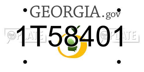 1T58401 Georgia License Plate