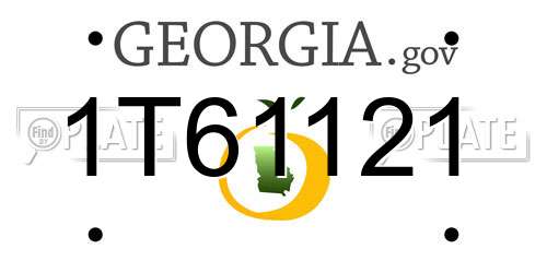 1T61121 Georgia License Plate