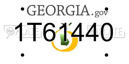 1T61440 Georgia License Plate