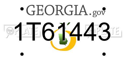 1T61443 Georgia License Plate