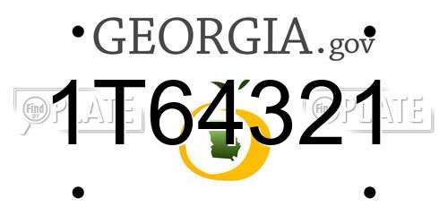 1T64321 Georgia License Plate