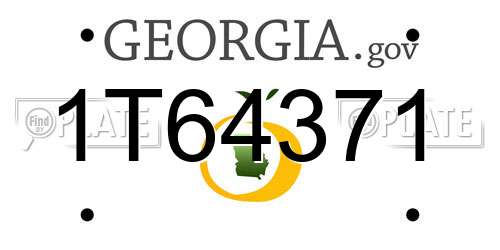 1T64371 Georgia License Plate