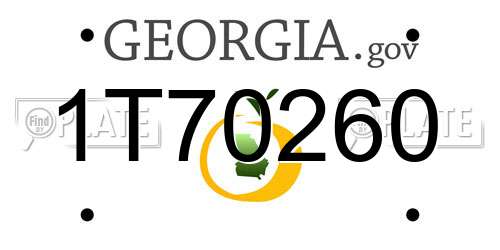 1T70260 Georgia License Plate