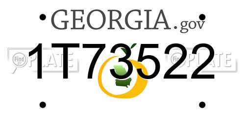 1T73522 Georgia License Plate
