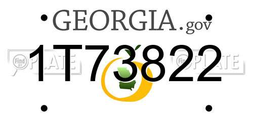 1T73822 Georgia License Plate