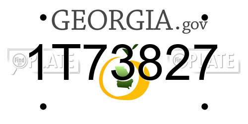 1T73827 Georgia License Plate