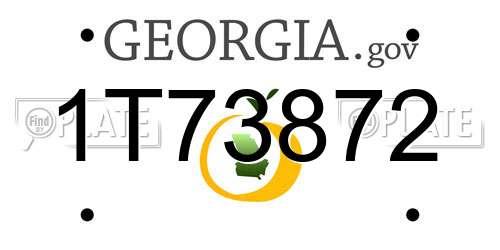 1T73872 Georgia License Plate