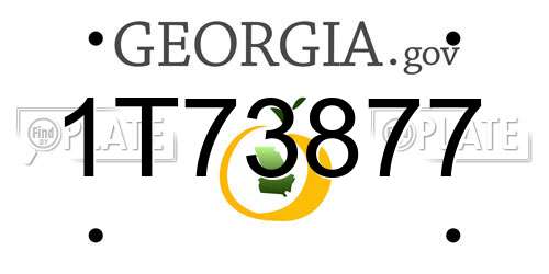 1T73877 Georgia License Plate