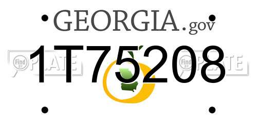 1T75208 Georgia License Plate