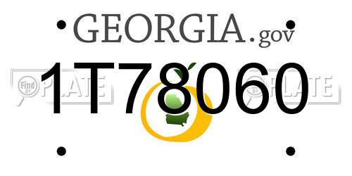 1T78060 Georgia License Plate
