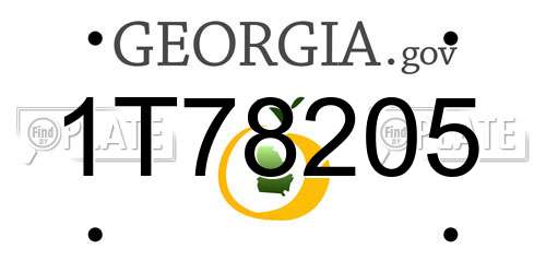1T78205 Georgia License Plate