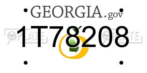 1T78208 Georgia License Plate