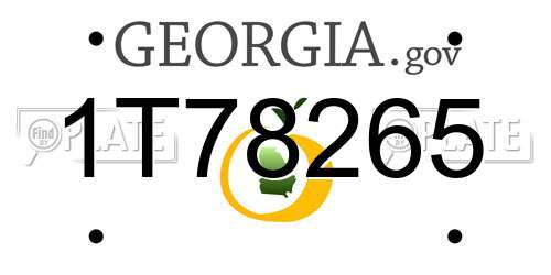 1T78265 Georgia License Plate