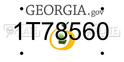 1T78560 Georgia License Plate