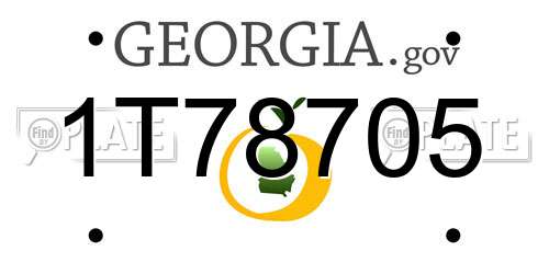 1T78705 Georgia License Plate
