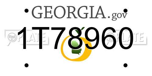 1T78960 Georgia License Plate