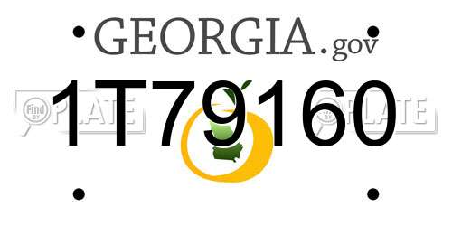 1T79160 Georgia License Plate