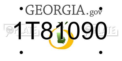 1T81090 Georgia License Plate