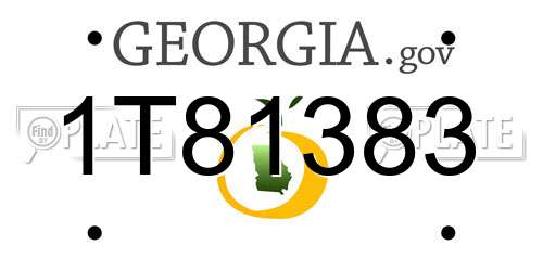 1T81383 Georgia License Plate