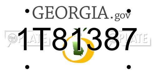 1T81387 Georgia License Plate