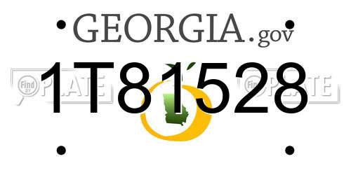 1T81528 Georgia License Plate