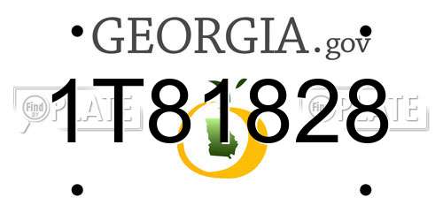 1T81828 Georgia License Plate