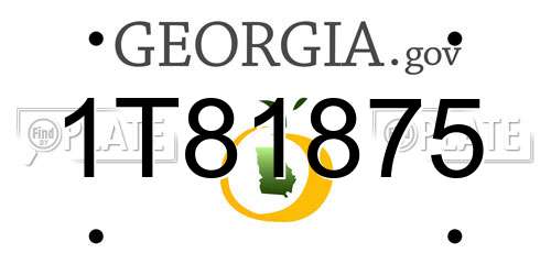 1T81875 Georgia License Plate