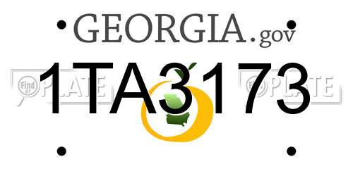 1TA3173 Georgia License Plate