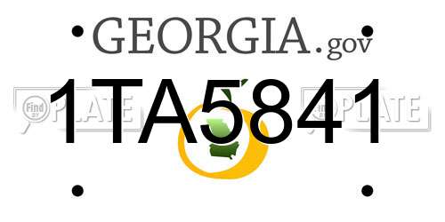 1TA5841 Georgia License Plate