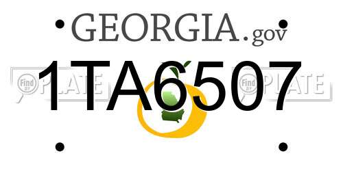 1TA6507 Georgia License Plate