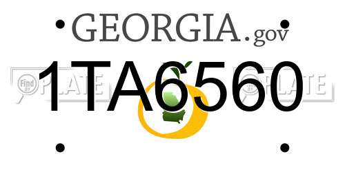 1TA6560 Georgia License Plate
