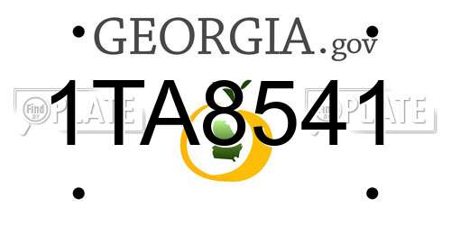 1TA8541 Georgia License Plate