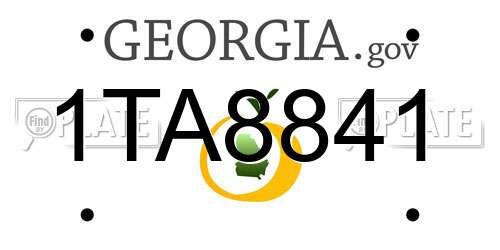 1TA8841 Georgia License Plate