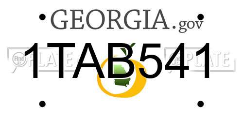 1TAB541 Georgia License Plate