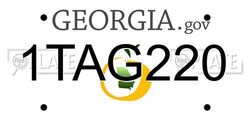 1TAG220 Georgia License Plate