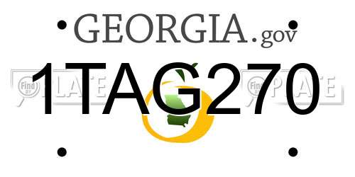 1TAG270 Georgia License Plate