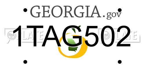 1TAG502 Georgia License Plate