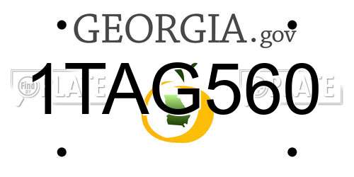 1TAG560 Georgia License Plate