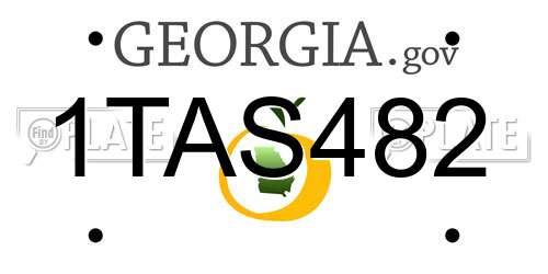 1TAS482 Georgia License Plate