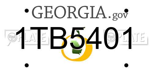 1TB5401 Georgia License Plate