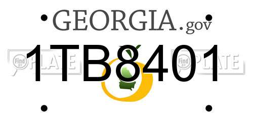 1TB8401 Georgia License Plate