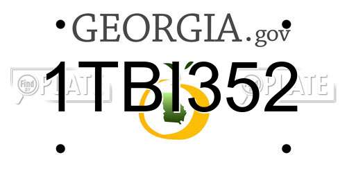 1TBI352 Georgia License Plate