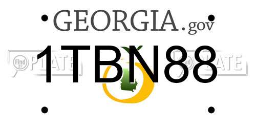 1TBN88 Georgia License Plate
