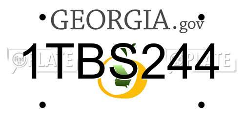 1TBS244 Georgia License Plate