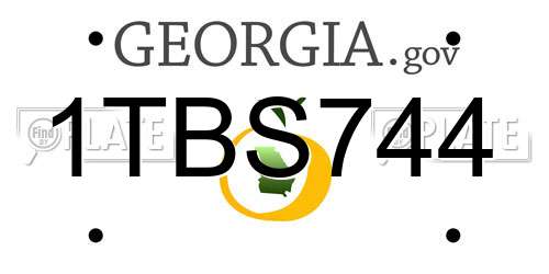 1TBS744 Georgia License Plate