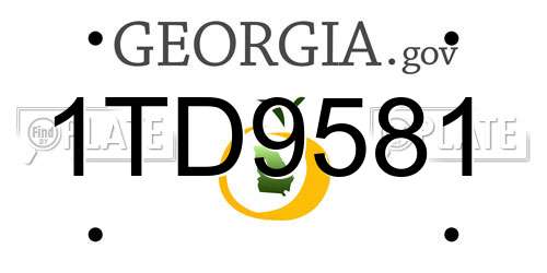 1TD9581 Georgia License Plate