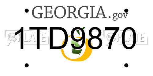 1TD9870 Georgia License Plate