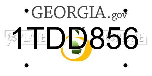 1TDD856 Georgia License Plate