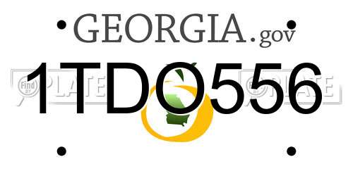 1TDO556 Georgia License Plate