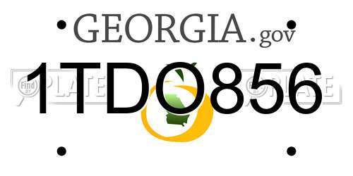 1TDO856 Georgia License Plate